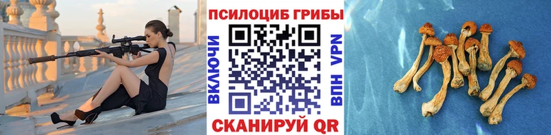Псилоцибиновые грибы Psilocybine cubensis  где можно купить   Серафимович 